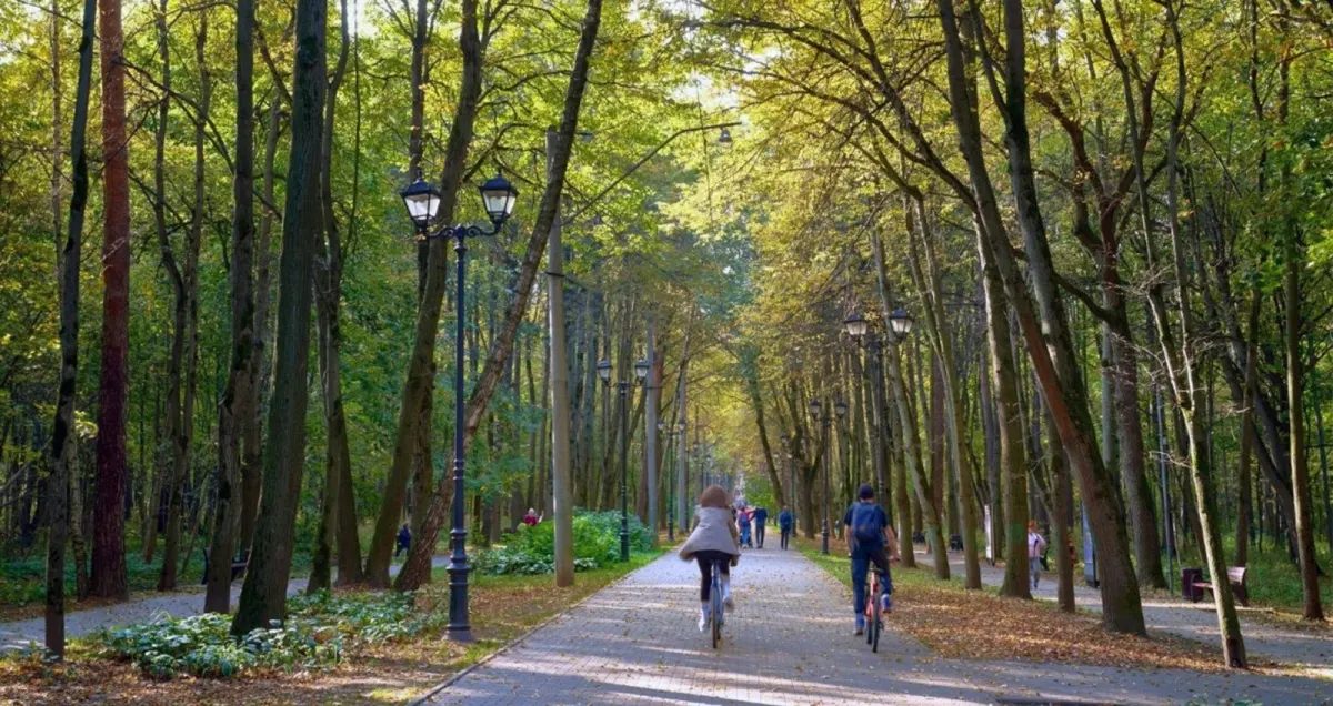ЖК «Fili City» в Москве — фото 24 из 25